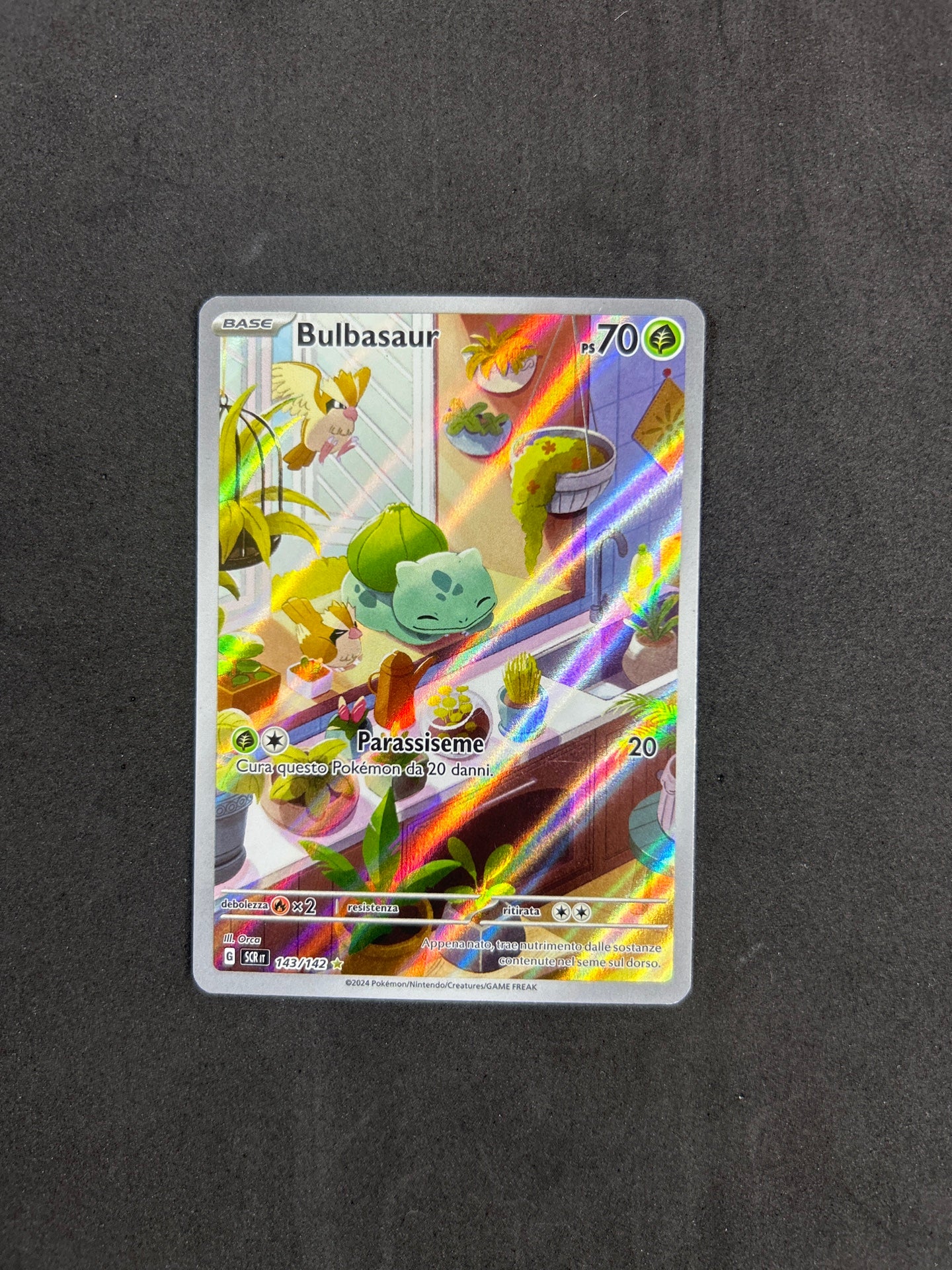 Bulbasaur (SCR 143)